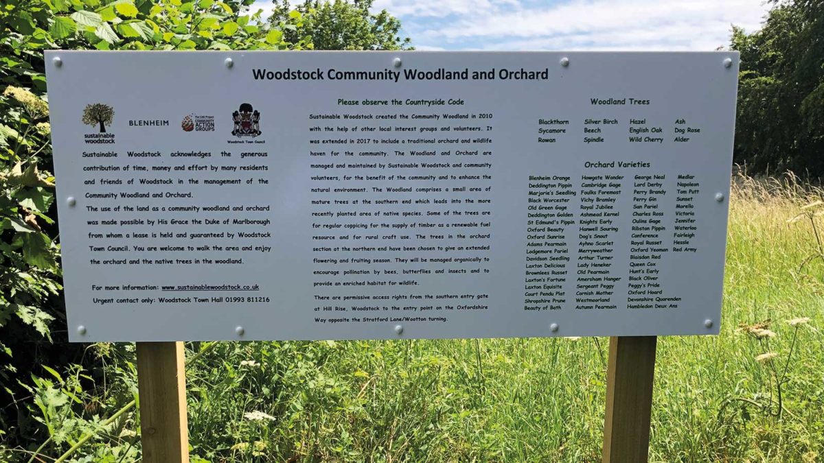 Woodstock community woodland