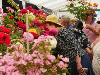 Blenheim Flower Show