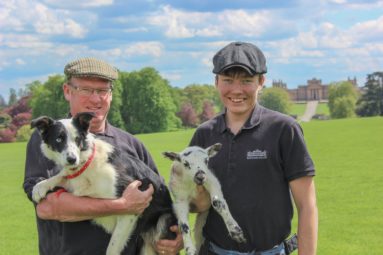 Charles Tom Jess Blenheim Estate Lambing-Apprentice