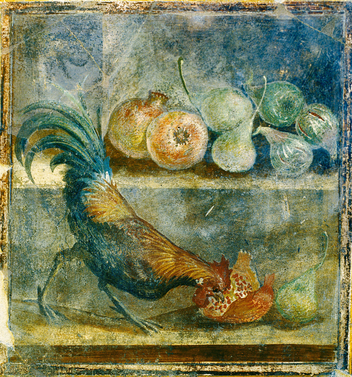 Cockerel (c) Parco Archeologico di Pompeii