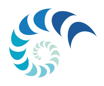 Connecting to Excellence logo