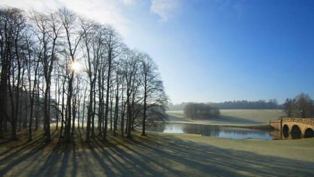 A Frosty Morning At Blenheim