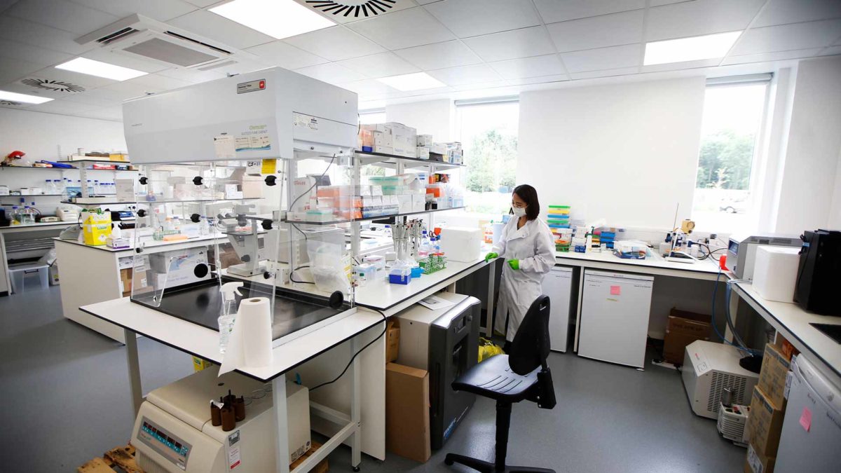 Phase I converted class 2 laboratory at the Wood Centre for Innovation
