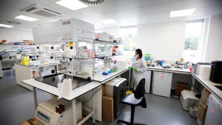 Phase I converted class 2 laboratory at the Wood Centre for Innovation